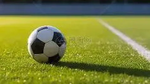 林心如揭秘霍建华客串《华灯》动机及剧集第四季进展