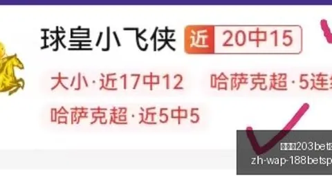 金宝博203bet体育金宝博203bet体育官网突发变动